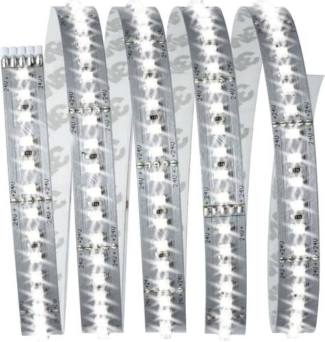 Paulmann MaxLED 1000 70586 LED-Streifen-Basisset mit Stecker 24V 1.5m Tageslichtweiß 1St. von Paulmann