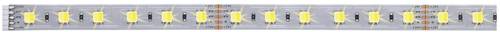 Paulmann MaxLED 70566 LED-Streifen-Erweiterung mit Stecker 24V 1m Warmweiß, Neutralweiß, Tageslich von Paulmann