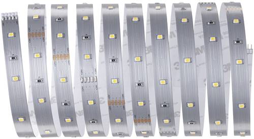 Paulmann MaxLED Stripe Basic 79852 LED-Streifen-Basisset mit Stecker 24V 3m Warmweiß 1St. Paulmann MaxLED Stripe Basic 79852 LED-Streifen-Basisset mit Stecker 24V 3m Warmweiß 1St. von Paulmann