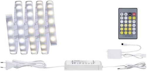 Paulmann MaxLED Tunable White 70623 LED-Streifen-Basisset mit Stecker 24V 1.5m Warmweiß, Neutralwei von Paulmann
