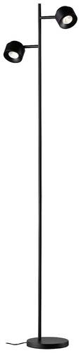 Paulmann Pane 79780 LED-Stehlampe LED 6W Schwarz Paulmann Pane 79780 LED-Stehlampe LED 6W Schwarz von Paulmann