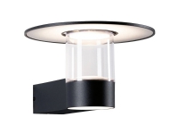 Paulmann Sienna 94834 LED-Außenwandleuchte mit Bewegungsmelder LED (RGB) 3 W Anthrazit von Paulmann