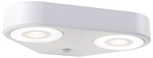 Paulmann Silma 94868 LED-Außenwandleuchte mit Bewegungsmelder LED 11W Weiß von Paulmann