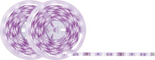 Paulmann SimpLED 78980 LED-Streifen-Komplettset mit Stecker 12V 10m RGB 1St. von Paulmann
