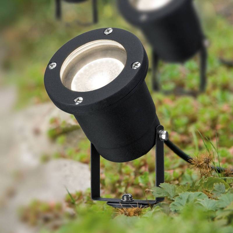 Paulmann Special Line LED-Erdspießstrahler 6er-Set von Paulmann