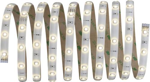 Paulmann YourLED 70592 LED-Streifen mit Stecker 12V 300mm Warmweiß 1St. Paulmann YourLED 70592 LED-Streifen mit Stecker 12V 300mm Warmweiß 1St. von Paulmann