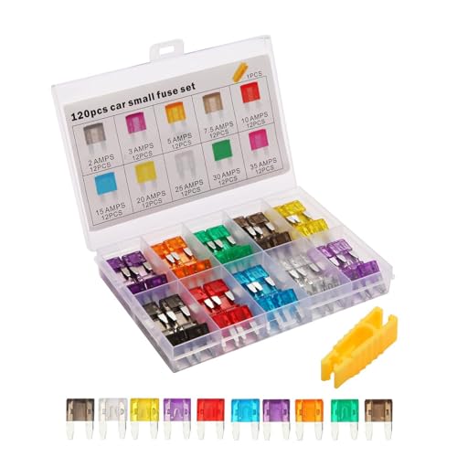 Pavsicgn Sicherungen Sortiment Set, 120X Kleine Sicherungen Kfz Set, Ersatzteile, Zubehör für Motorräder, Wohnmobile, Nutzfahrzeuge und Boote Pavsicgn Sicherungen Sortiment Set, 120X Kleine Sicherungen Kfz Set, Ersatzteile, Zubehör für Motorräder, Wohnmobile, Nutzfahrzeuge und Boote von Pavsicgn