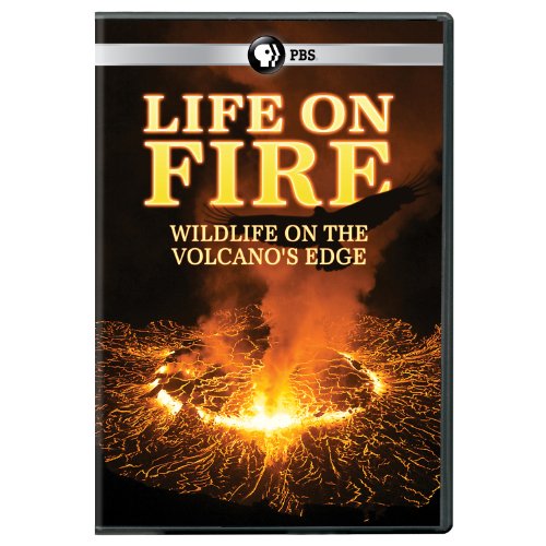 Life On Fire: Wildlife On The Volcanos Edge (2pc) [DVD] [Region 1] [NTSC] [US Import] von Pbs (Direct)