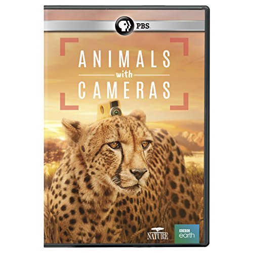 NATURE: Animals With Cameras DVD von Pbs (Direct)