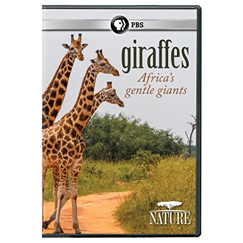 NATURE: GIRAFFES: AFRICA'S GENTLE GIANTS - NATURE: GIRAFFES: AFRICA'S GENTLE GIANTS (1 DVD) von Pbs (Direct)