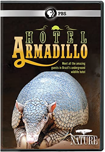 NATURE: Hotel Armadillo DVD von Pbs (Direct)