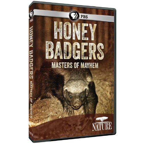 Nature: Honey Badgers: Masters Of Mayhem [DVD] [Region 1] [NTSC] [US Import] von Pbs (Direct)