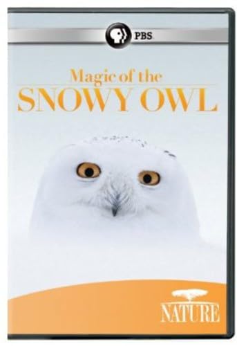 Nature: Magic Of The Snowy Owl [DVD] [Region 1] [NTSC] [US Import] von Pbs (Direct)