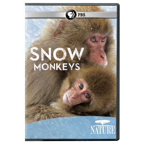 Nature: Snow Monkeys [DVD] [Region 1] [NTSC] [US Import] von Pbs (Direct)
