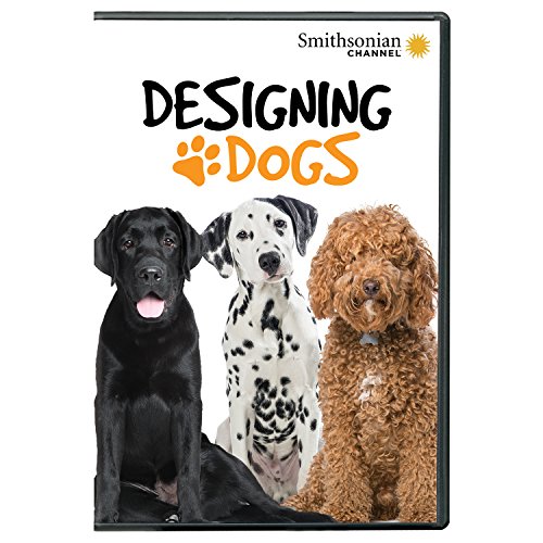 Smithsonian: Designing Dogs DVD von Pbs (Direct)