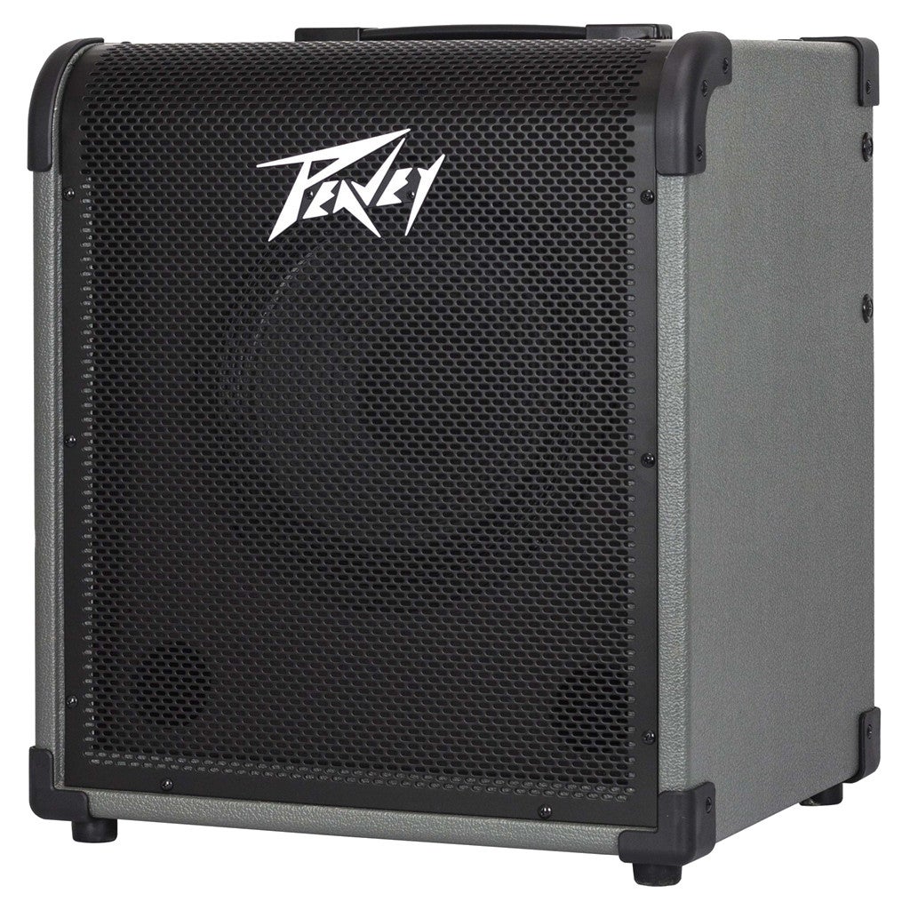 Peavey MAX 100 1x10" Bass Guitar Amplifier Peavey MAX 100 1x10" Bass Guitar Amplifier von Peavey