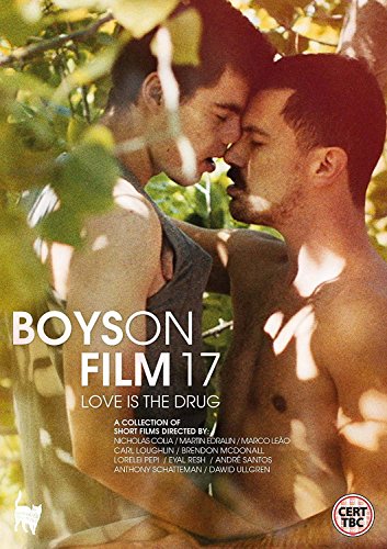 Boys On Film 17: Love Is The Drug [DVD] von Peccadillo Pictures