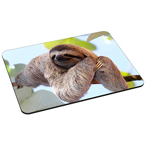 PEDEA Gaming und Office Mauspad - 220 x 180 mm - mit vernähten Rändern und rutschfester Unterseite, Chilling Sloth von Pedea