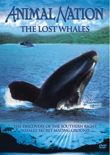 Animal Nation - Lost Whales [DVD] von Pegasus Entertainment