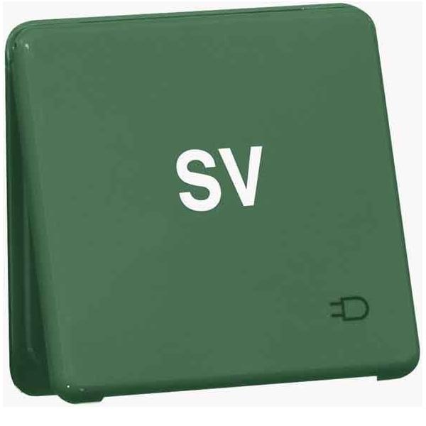 Peha Steckdose D80.6611KGLK GRÜN SV 00801211 von Peha