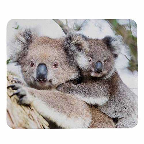 Pehede Mauspad mit rutschfester Gummiunterseite, leicht gleitend, Computer-Mauspad für Computer, Laptop, Gaming, Büro und Zuhause, 20,1 x 24,1 cm, Australien-Babär und Mutter im Baum Pehede Mauspad mit rutschfester Gummiunterseite, leicht gleitend, Computer-Mauspad für Computer, Laptop, Gaming, Büro und Zuhause, 20,1 x 24,1 cm, Australien-Babär und Mutter im Baum von Pehede