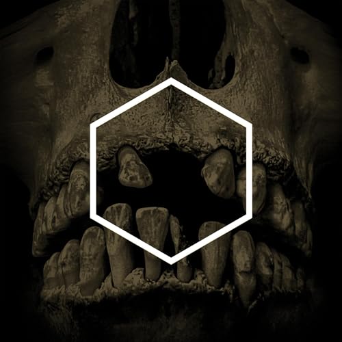 The Others (Lustmord Deconstructed) [Vinyl LP] von PELAGIC