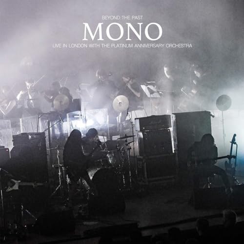 Beyond the Past (Black Vinyl) [Vinyl LP] von PELAGIC