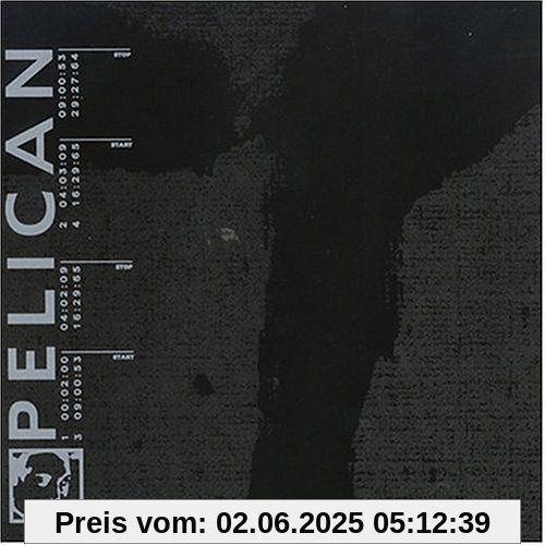 Pelican von Pelican