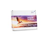 Pelikan Toner Canon CLI-8 Multi-Pack B/C/M/Y von Pelikan Printing