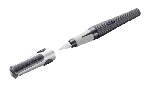 Pelikan Füller Pelikano structure für Rechtshänder, Grey, Feder M, 824507 Pelikan Füller Pelikano structure für Rechtshänder, Grey, Feder M, 824507 von Pelikan