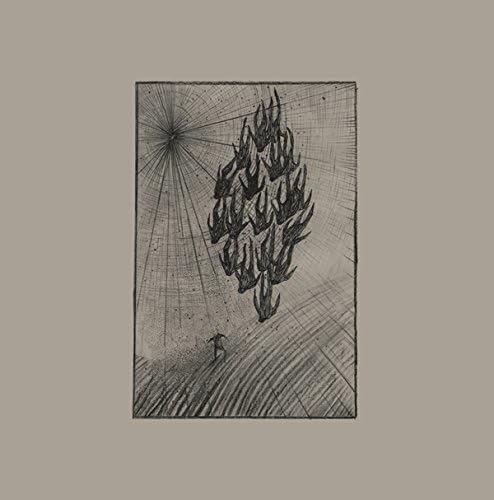 Locusts [Vinyl LP] von Penultimate Press