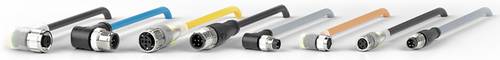 Pepperl+Fuchs 187918 Sensor-/Aktor-Steckverbinder M12, M8 Stecker, gerade, Buchse, gewinkelt 1.00m P Pepperl+Fuchs 187918 Sensor-/Aktor-Steckverbinder M12, M8 Stecker, gerade, Buchse, gewinkelt 1.00m P von Pepperl+Fuchs