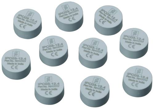 Pepperl+Fuchs 70117777 RFID-Transponder IPC03-12.4 10pcs 10St. von Pepperl+Fuchs