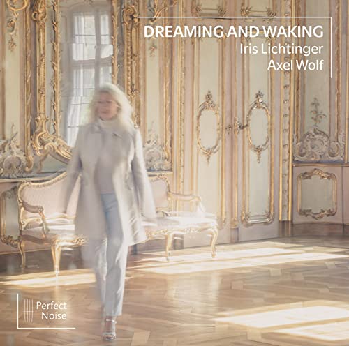 Dreaming and Waking von Perfect Noise