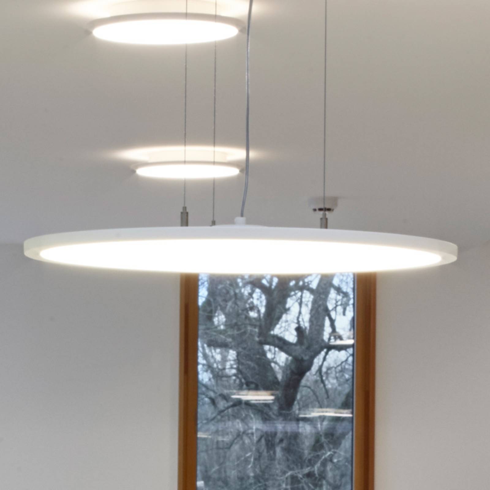 LED-Hängeleuchte FL Round 777 PL OP DALI 68W 830 LED-Hängeleuchte FL Round 777 PL OP DALI 68W 830 von Performance in Lighting