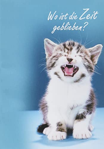 Perleberg Geburtstagskarte Basic Classic - Katze - 11,6 x 16,6 cm von Perleberg