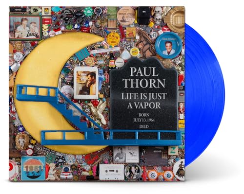 Life Is Just A Vapor [Vinyl LP] von Thirty Tigers