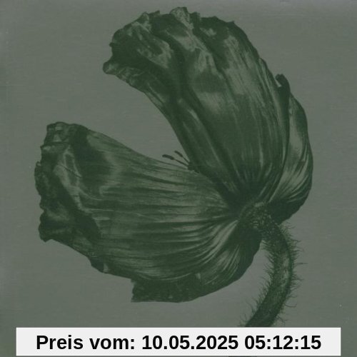 Release Release von Pet Shop Boys