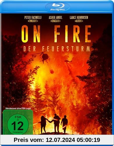 On Fire - Der Feuersturm [Blu-ray] von Peter Facinelli