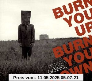 Burn You Up Burn You Burn You Up Burn You von Peter Gabriel