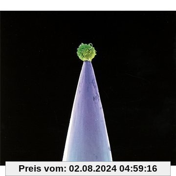 New Blood von Peter Gabriel