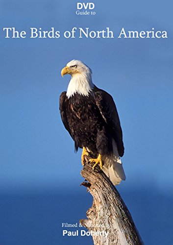 The Birds Of North America [DVD] von Peter West Trading & Music Production e.K