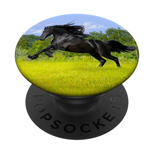 Pferd Wildpferd Wild Hengst Schwarz PopSockets PopGrip: Ausziehbarer Sockel und Griff für Handys/Tablets mit Tauschbarem Top PopSockets Klebender PopGrip von Pferd Geschenk PopLove Co.