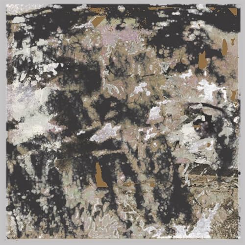 Building Something Beautiful for Me (Clear Lp) [Vinyl LP] von PHANTOM LIMB