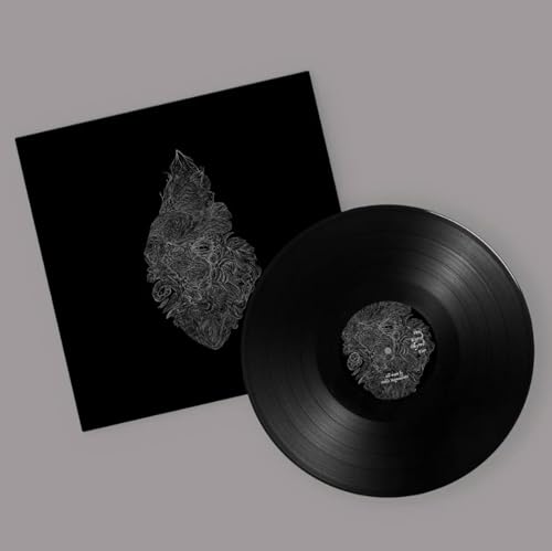 Turnar [Vinyl LP] von Phantom Limb (Rough Trade)