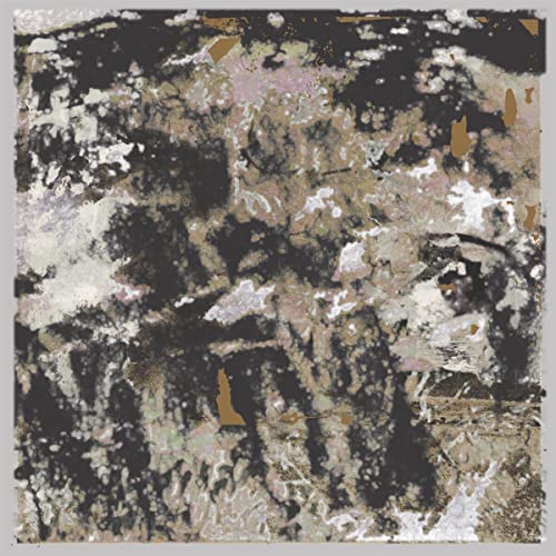 Building Something Beautiful for Me [Vinyl LP] von Phantom Limb