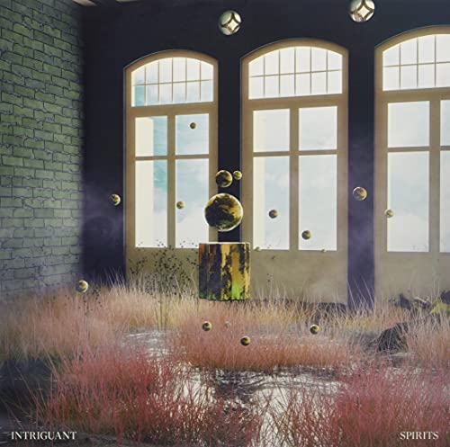 Spirits [Vinyl LP] von Phantom Limb