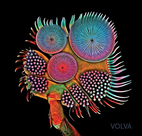 Volva [Vinyl LP] von Phd Music
