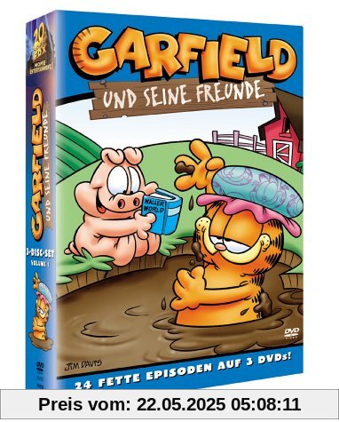 Garfield und seine Freunde [3 DVDs] von Phil Roman