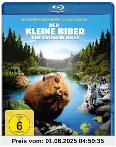 Der kleine Biber auf großer Reise [Blu-ray] von Philippe Calderon